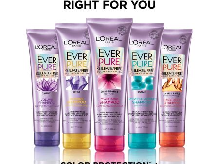 L Oreal Paris EverPure Sulfate Free Repair & Defend Shampoo with Goji, 8.5 Fl. Oz (Packaging May Vary) on Sale