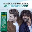 Garnier Hair Care Fructis Grow Strong Cooling Deep Clean Shampoo for Men for Invigorated Hair, 22 Fl Oz on Sale