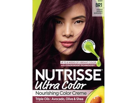 Garnier Nutrisse Ultra Color Nourishing Hair Color Creme, BR1 Deepest Intense Burgundy, 1 kit on Sale